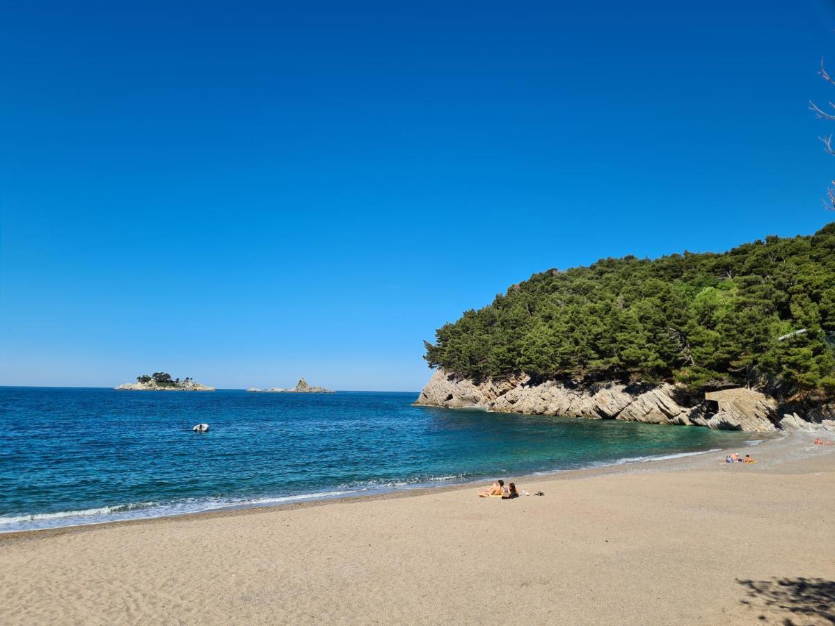 Olive Garden Apartment Petrovac 外观 照片