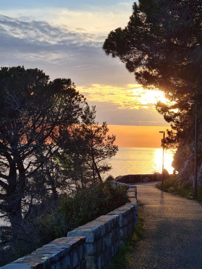 Olive Garden Apartment Petrovac 外观 照片