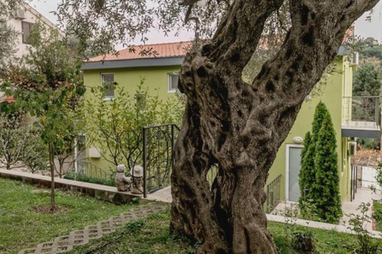 Olive Garden Apartment Petrovac 外观 照片